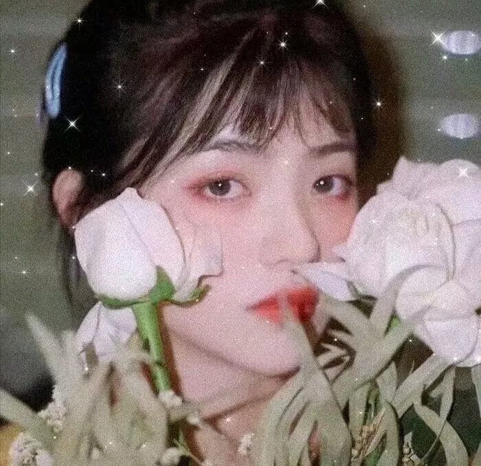 心知不宣