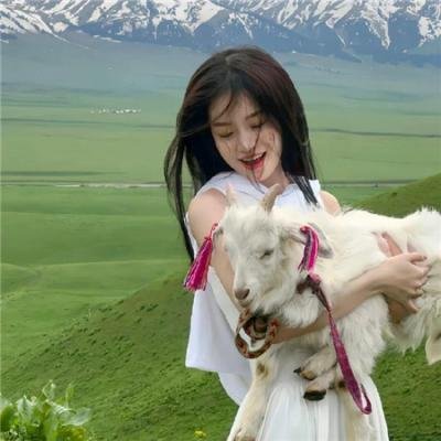 你是我老板